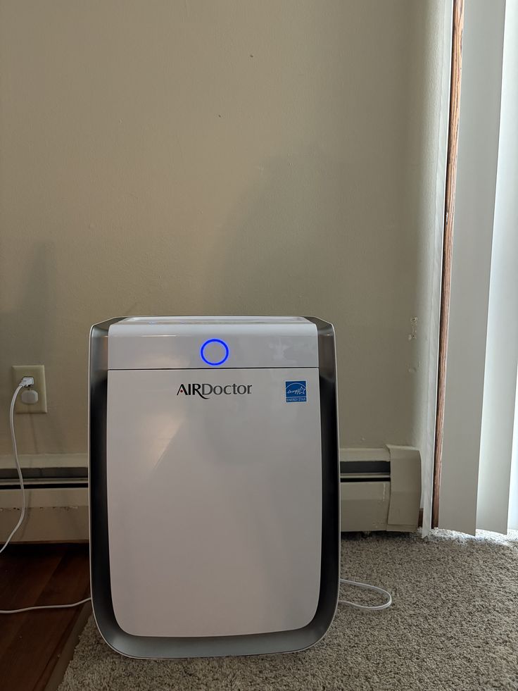 the best air purifier on the market, traps…